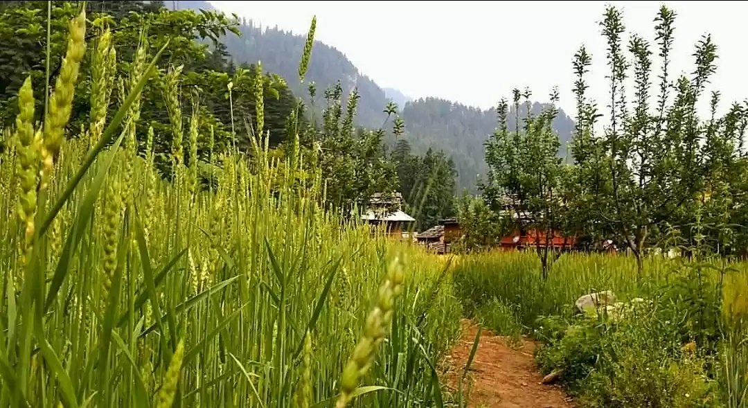 Photo of An Euphoric Paradise