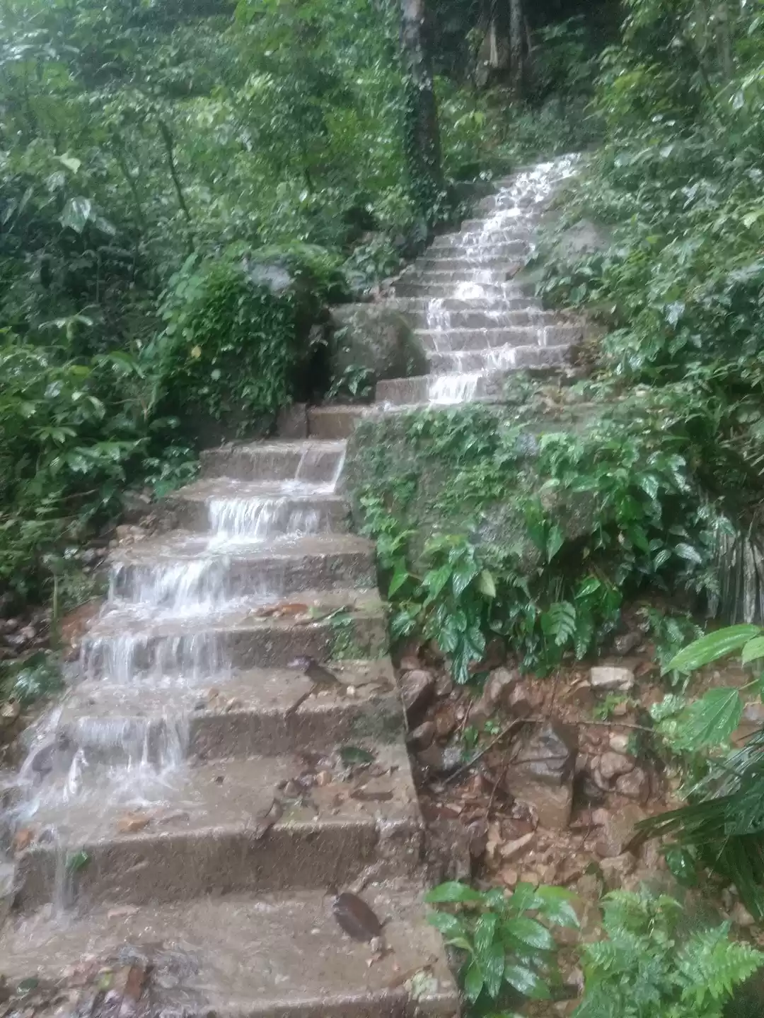 Photo of Meghalya- The journe