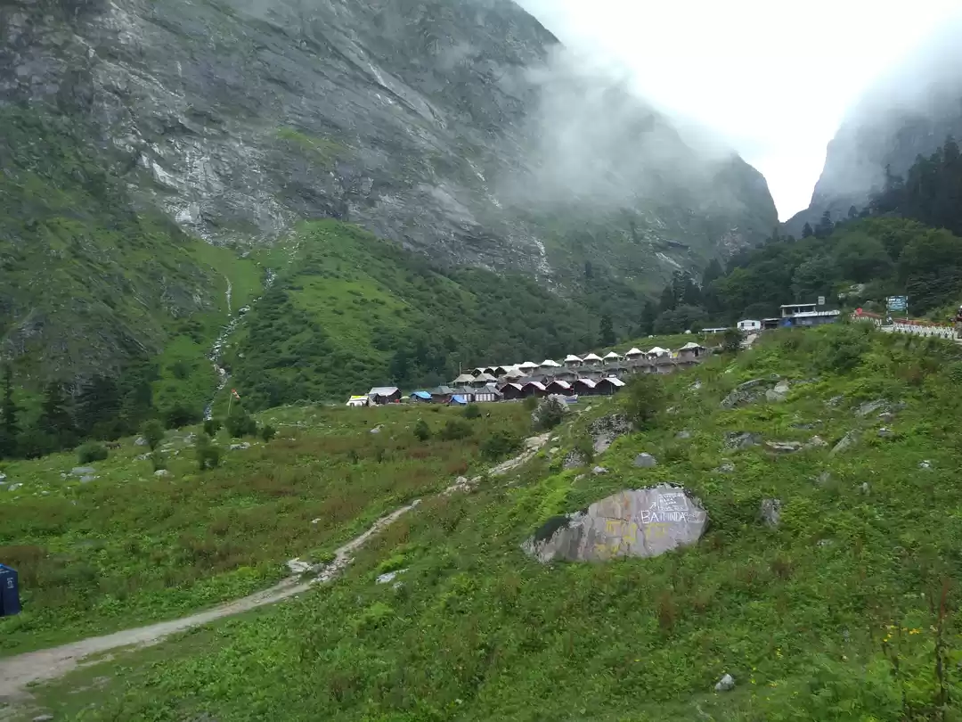 Photo of How I won a free tre