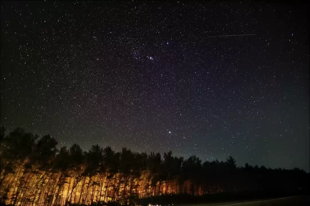 Photo of Counting Stars 🤩