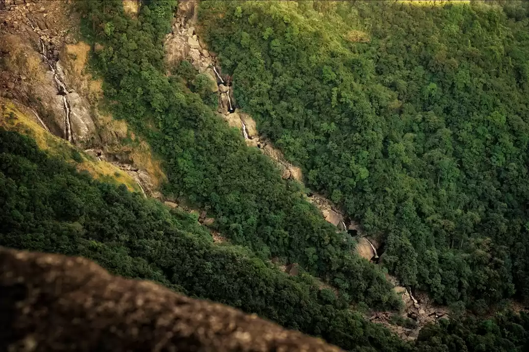 Photo of Not a usual picture 