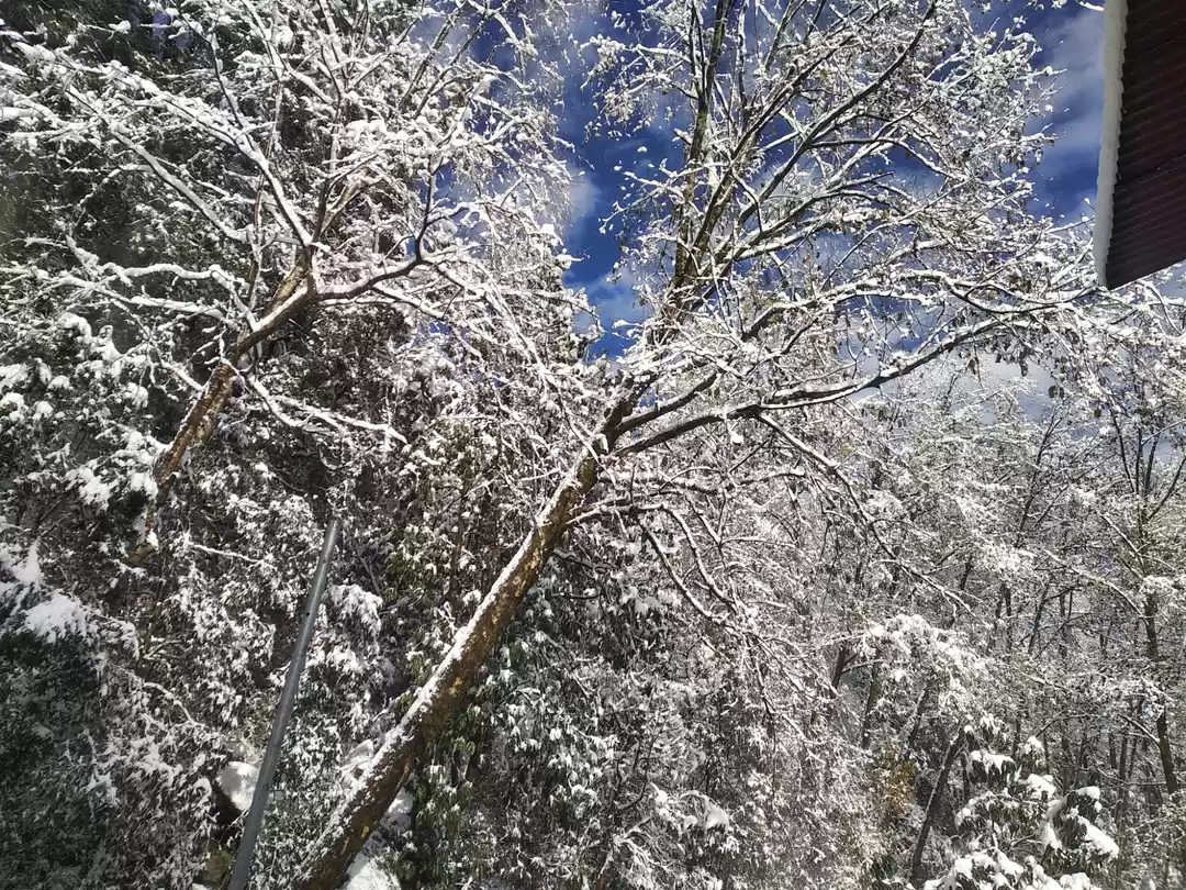 Photo of Made in Heaven - A #