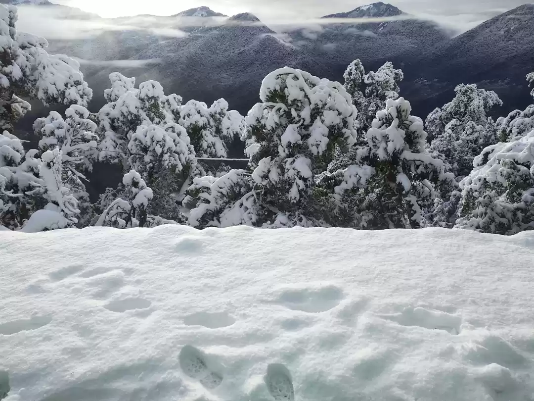 Photo of Made in heaven -A hi