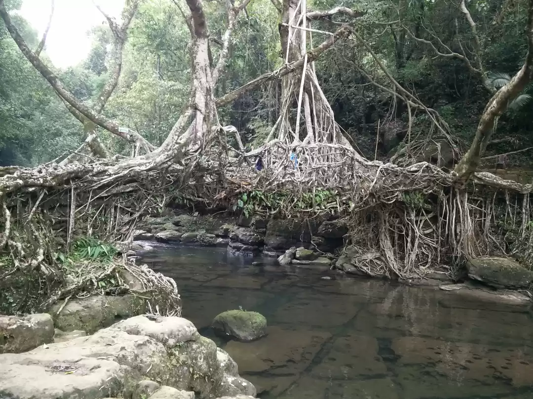 Photo of Want a New Adventure