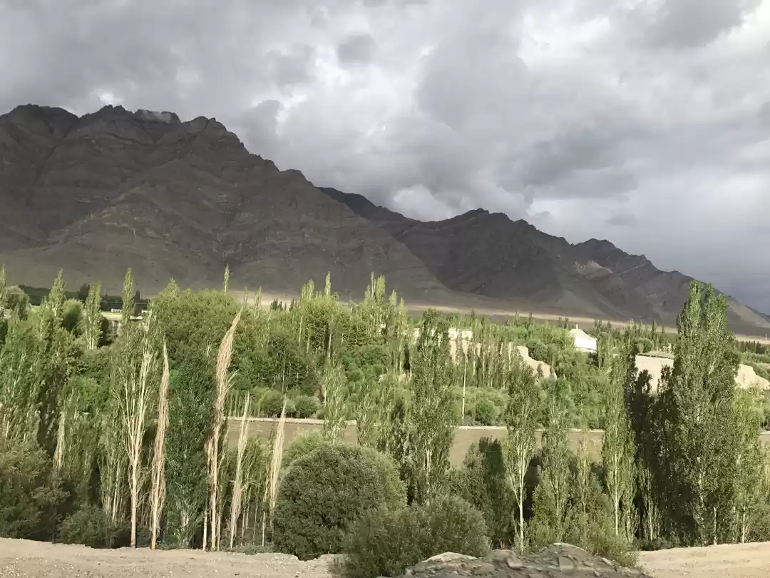 Photo of Mystically Peaceful