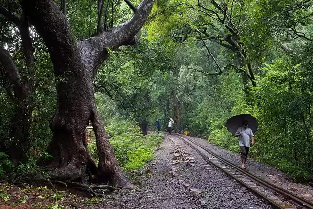Photo of Matheran in Monsoon 