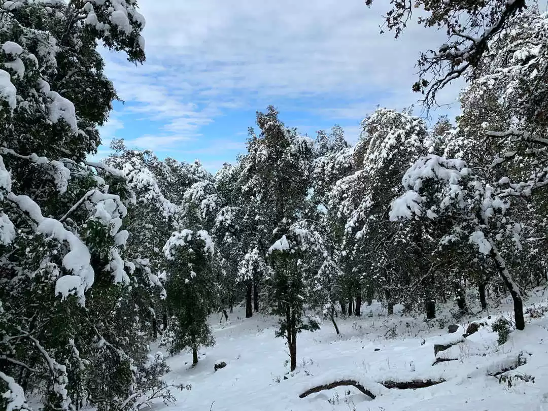 Photo of Who said Beautiful t