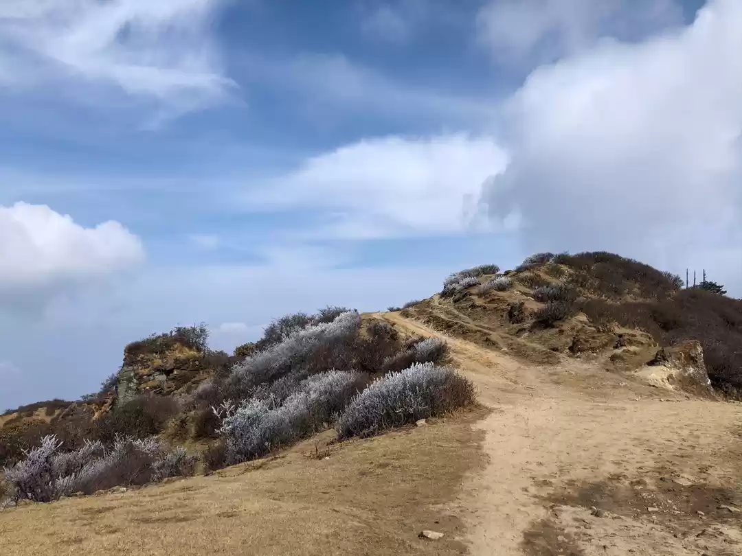 Photo of A Game of Hide and S