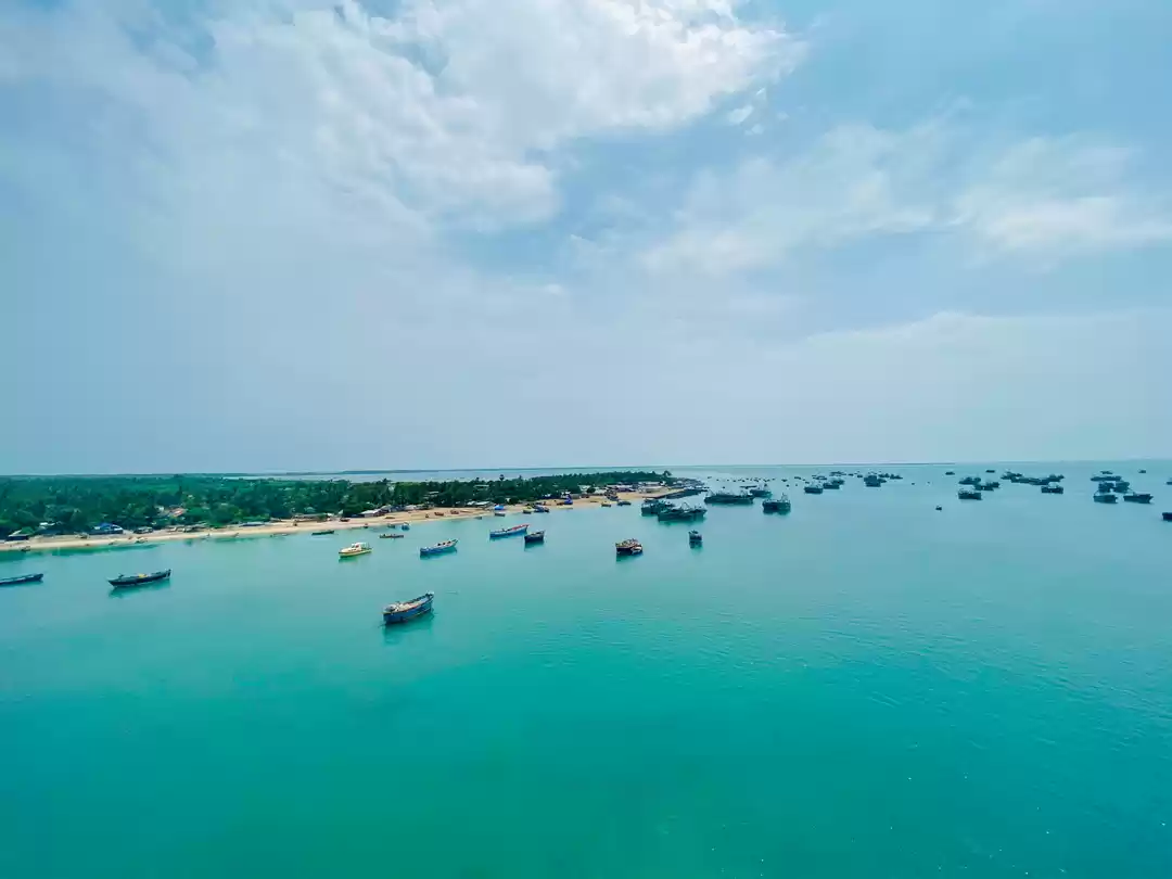 Photo of Down South To Dhanus