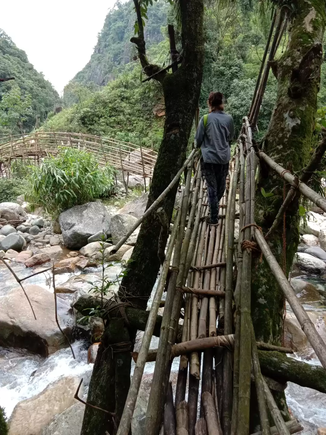 Photo of Bamboo Trails at Maw
