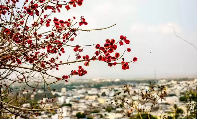 Photo of Exploring Medak | We