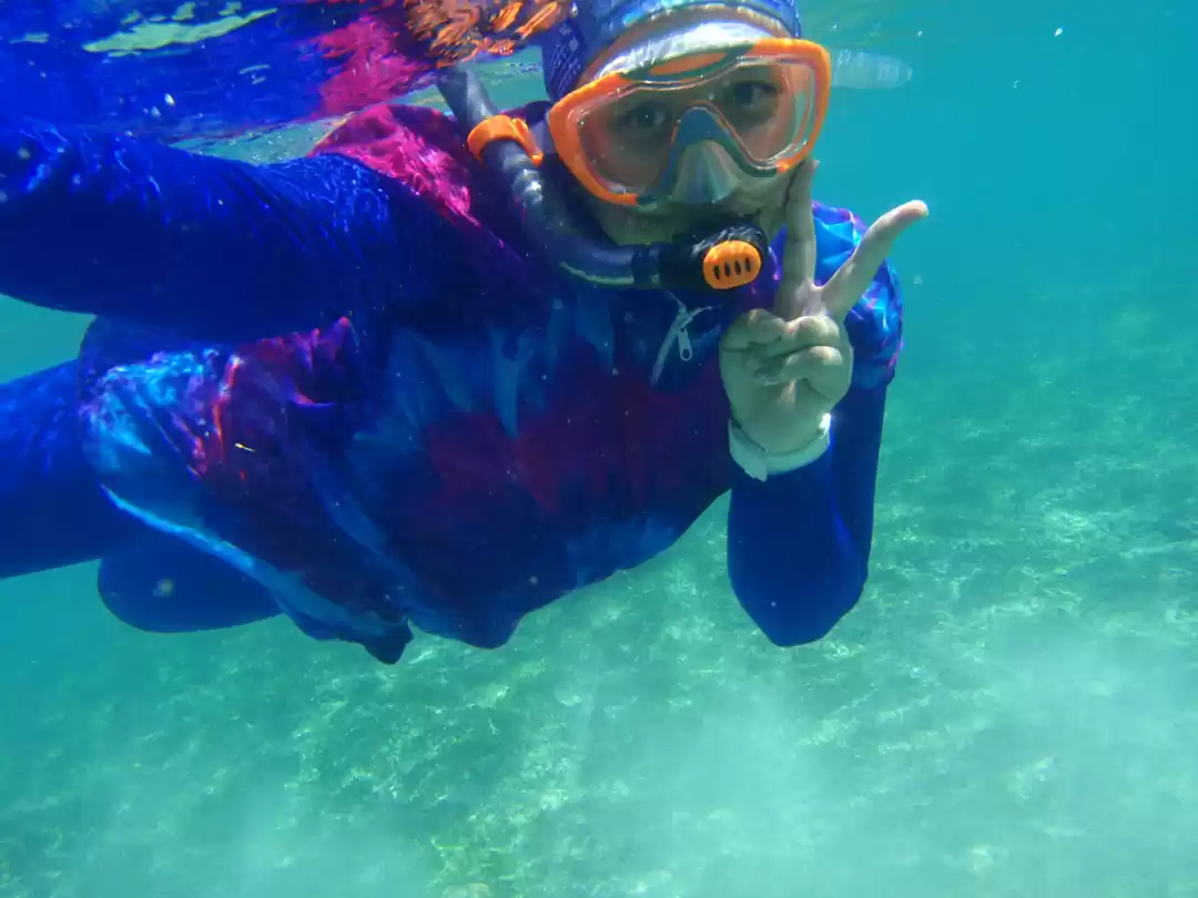 Photo of Under the sea: Snork