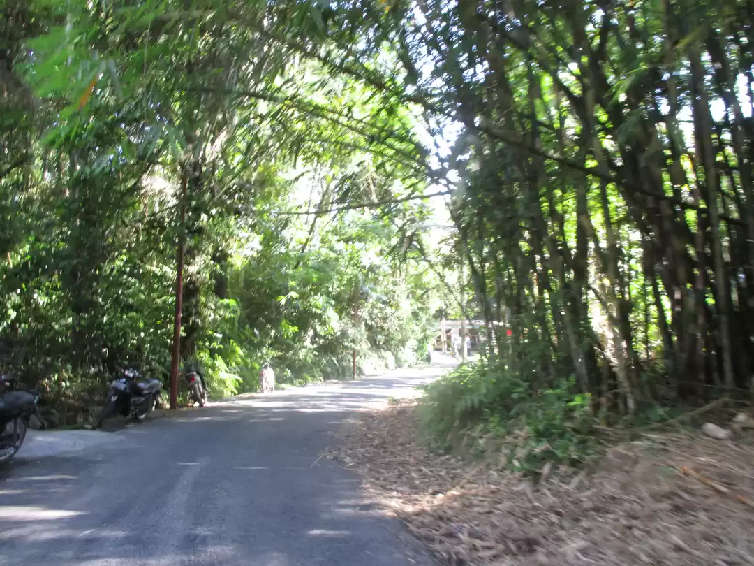 Photo of Rejuvenate in Ubud