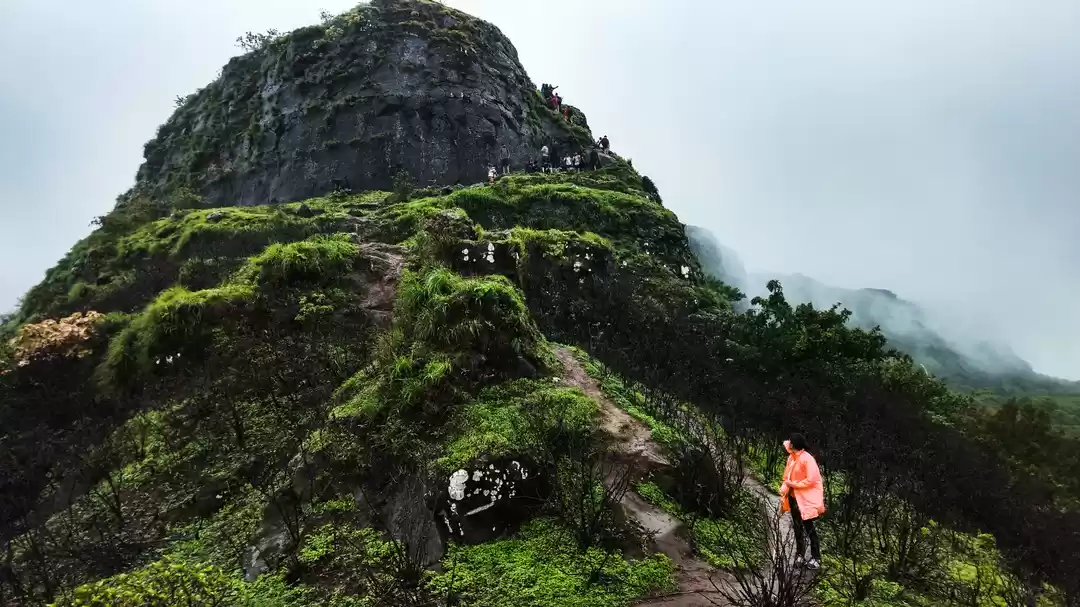 Photo of Monsoon Extravaganza