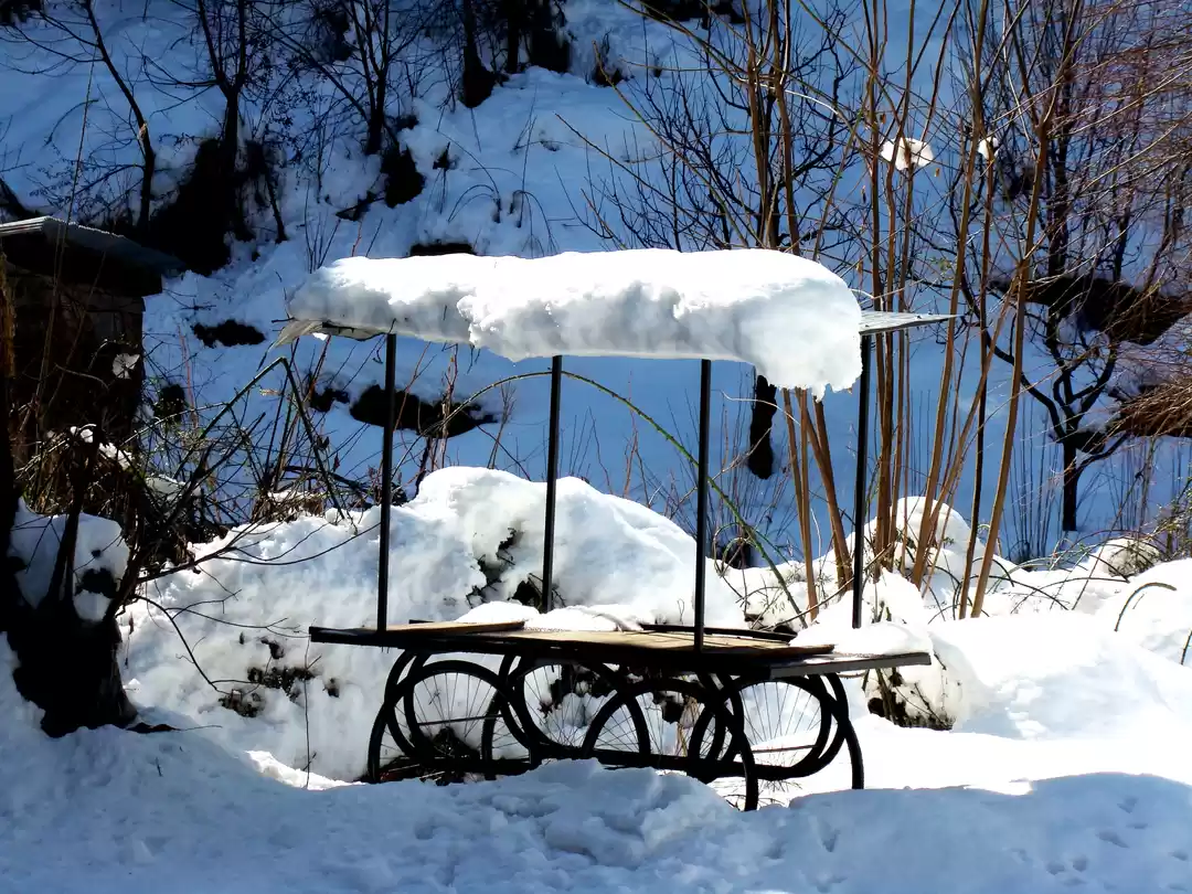 Photo of Winter In Manali