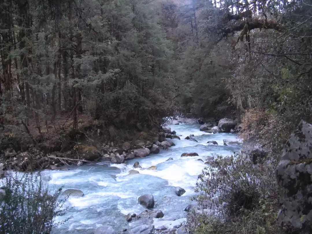 Photo of Langtang Valley Trek