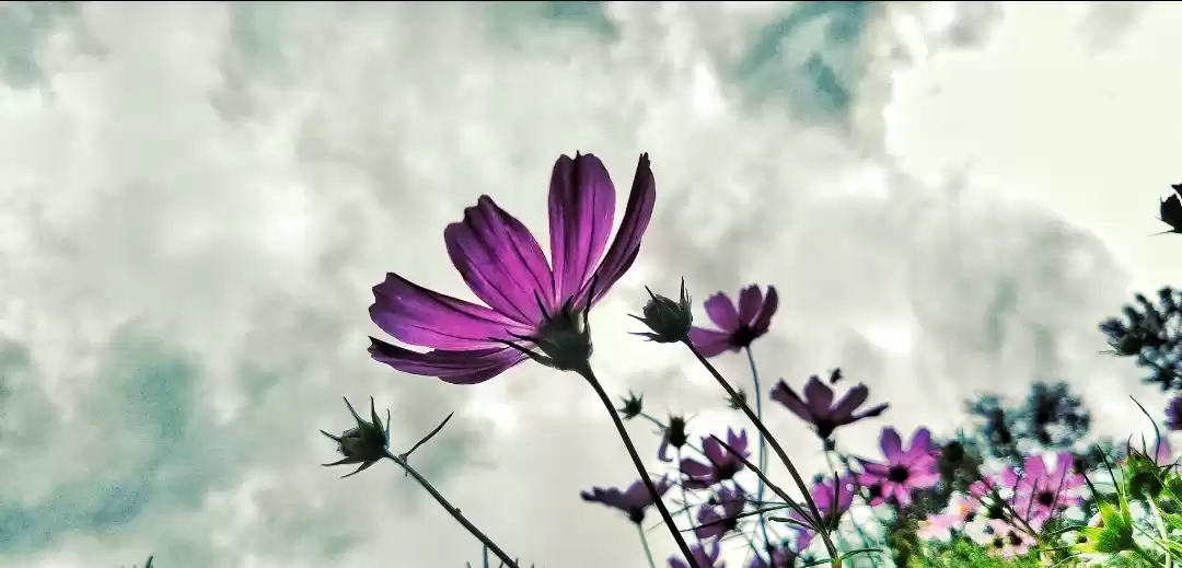 Photo of Paro village sightse