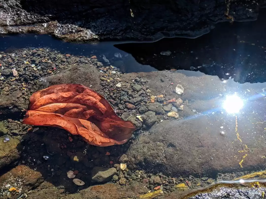 Photo of Harihareshwar Temple