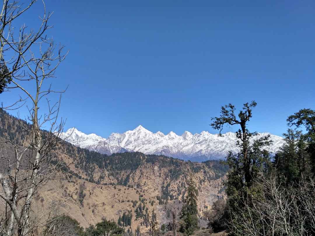 Photo of Munsiyari : This Must Be The Place Where God Chose To Cuddle #romantictrip