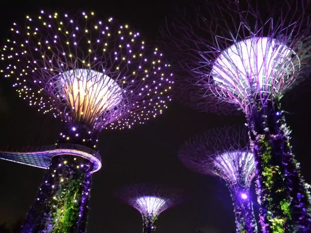 Photo of Singapore- 5 Day iti