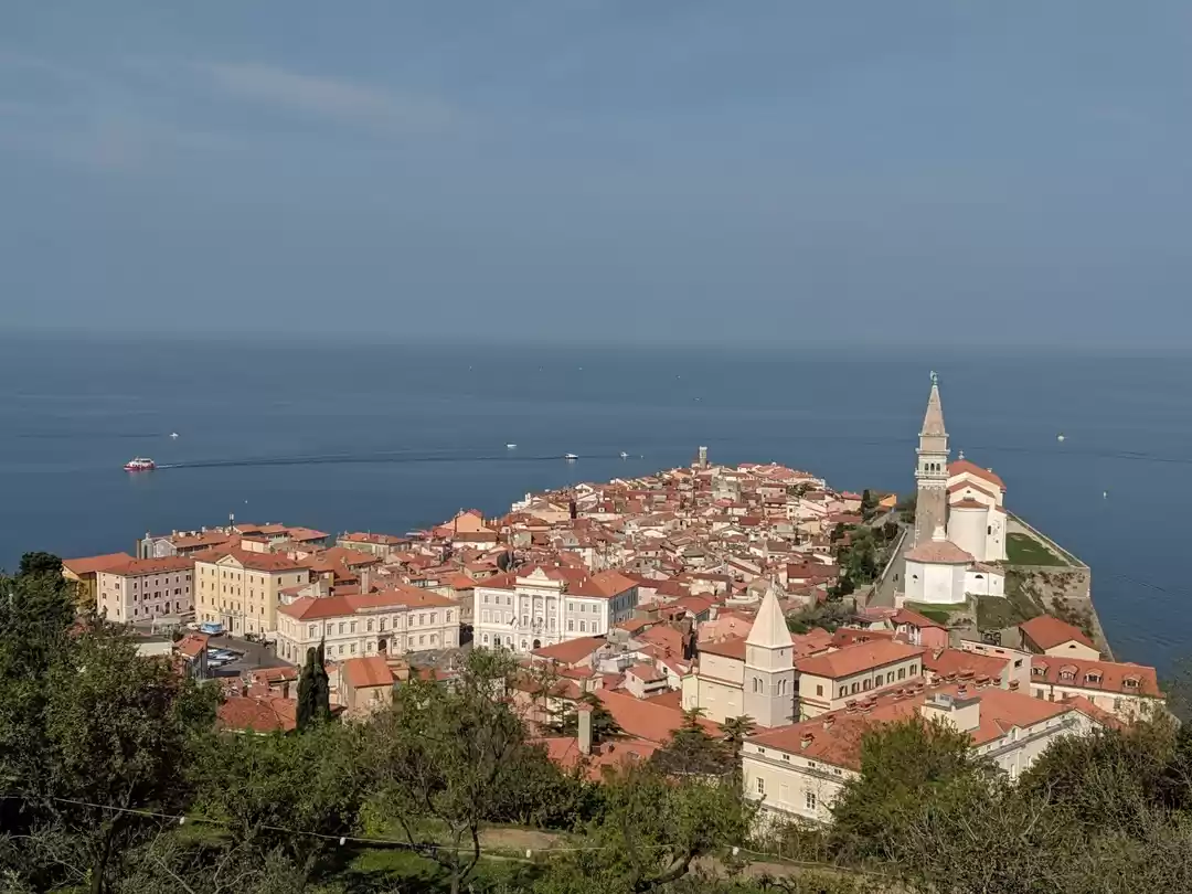 Photo of City guide- 24 hours