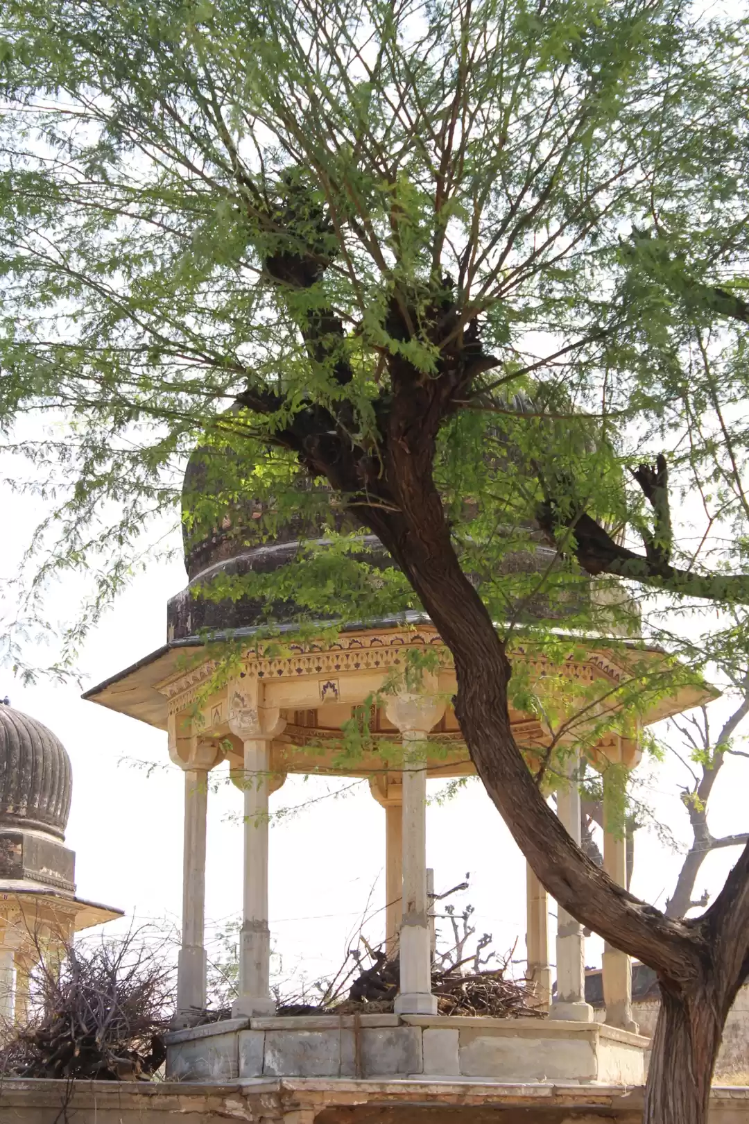 Photo of Mandawa:Charm of She