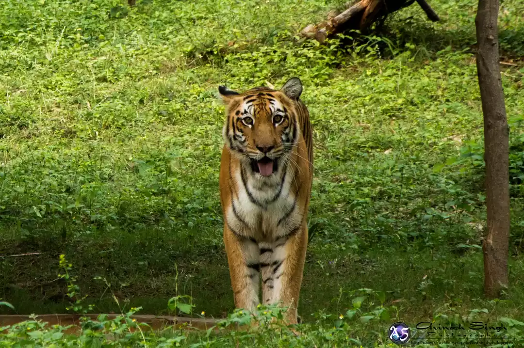 Photo of Southern retreat - V