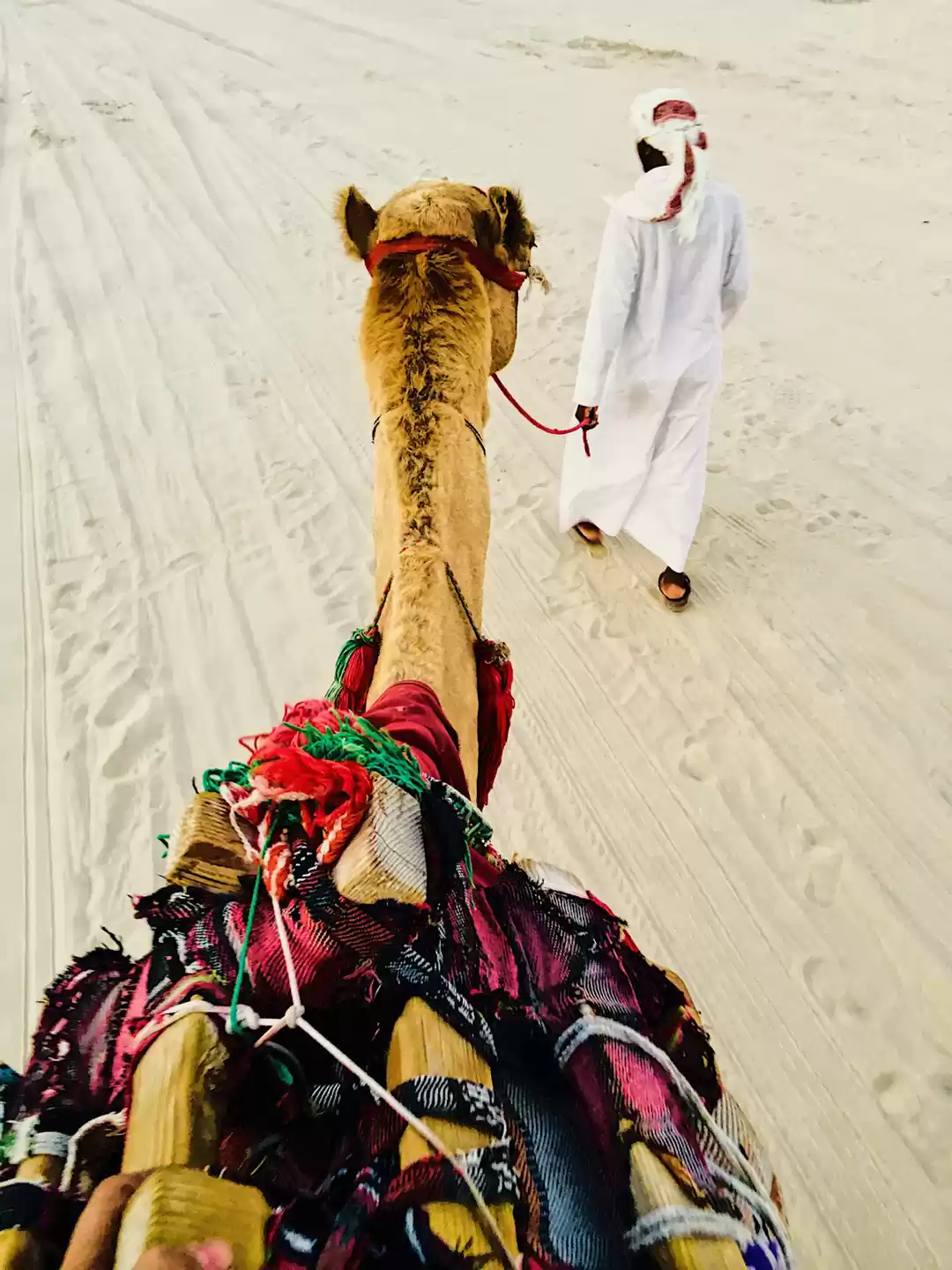 Photo of Trip To Qatar