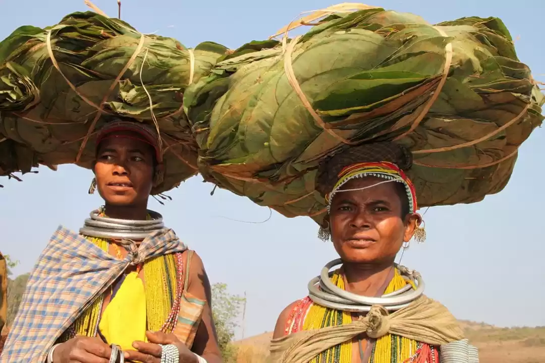 Photo of Tribes Tour Orissa I