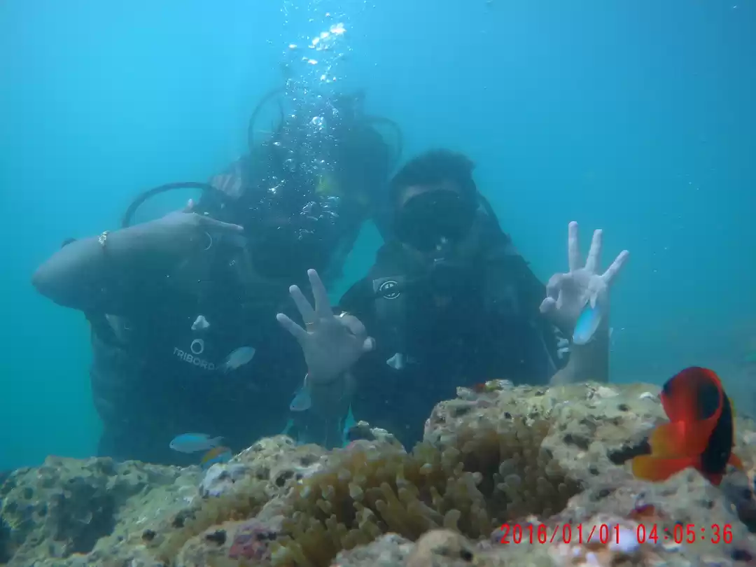 Photo of Scuba Diving In Anda