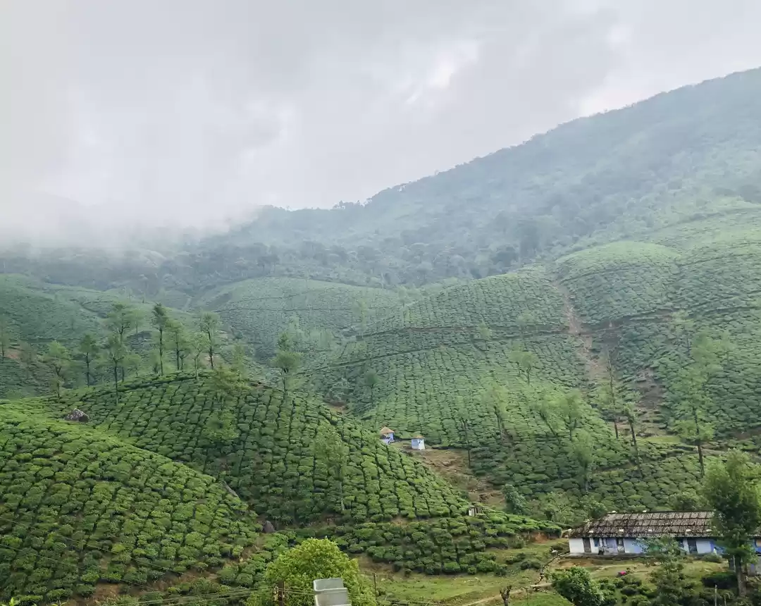 Photo of Tamil Nadu's Beautif