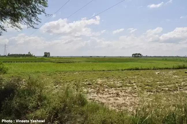 Photo of Hinterlands of Luckn