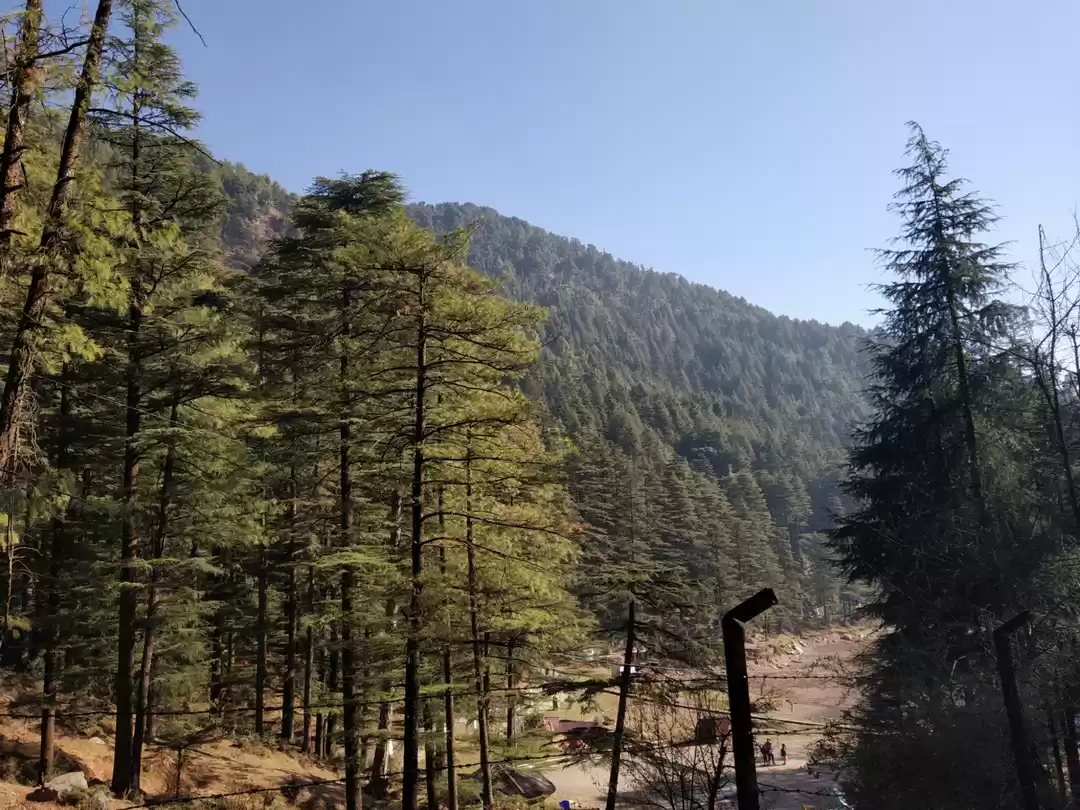 Photo of Experienced winters 