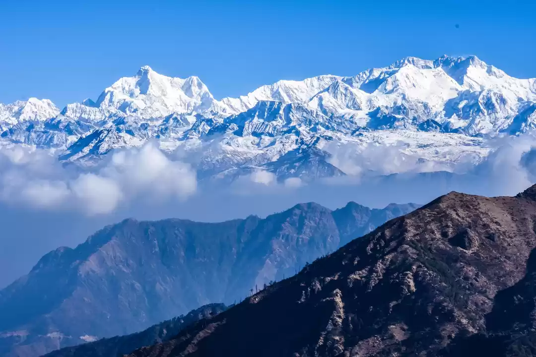 Photo of Into the Unknown Rid