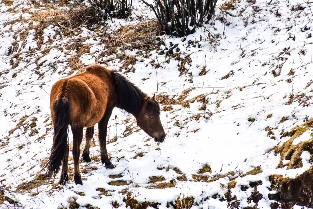 Photo of At the edge of Singa