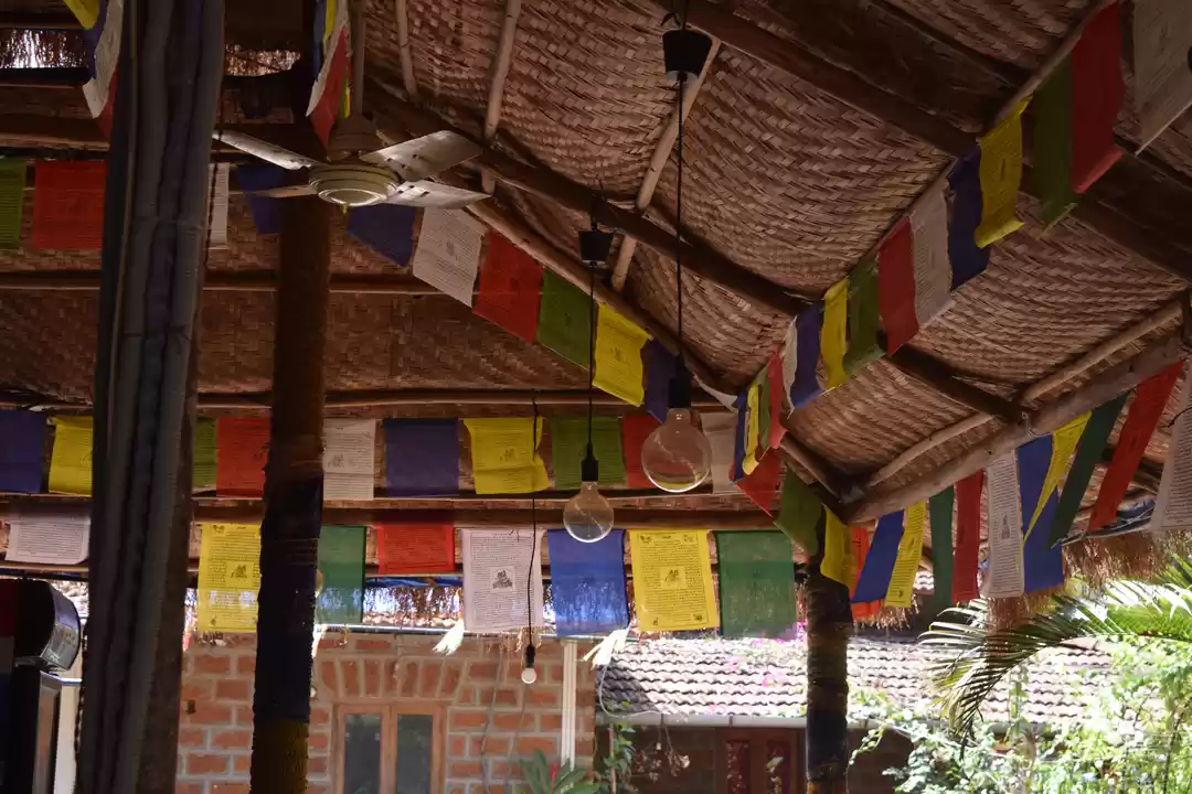 Photo of Stay in Goa for FREE