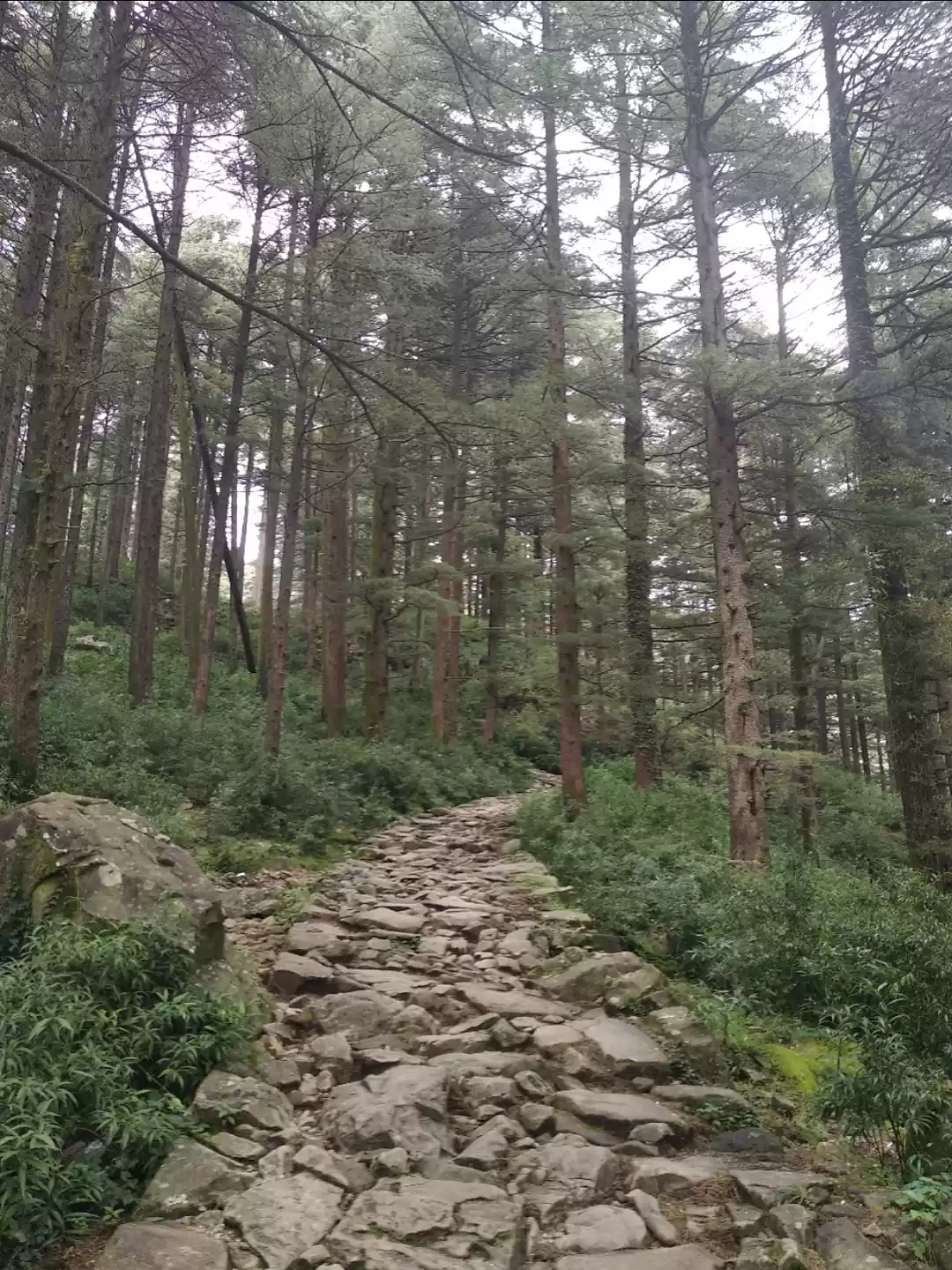 Photo of A MEDITATION VILLAGE