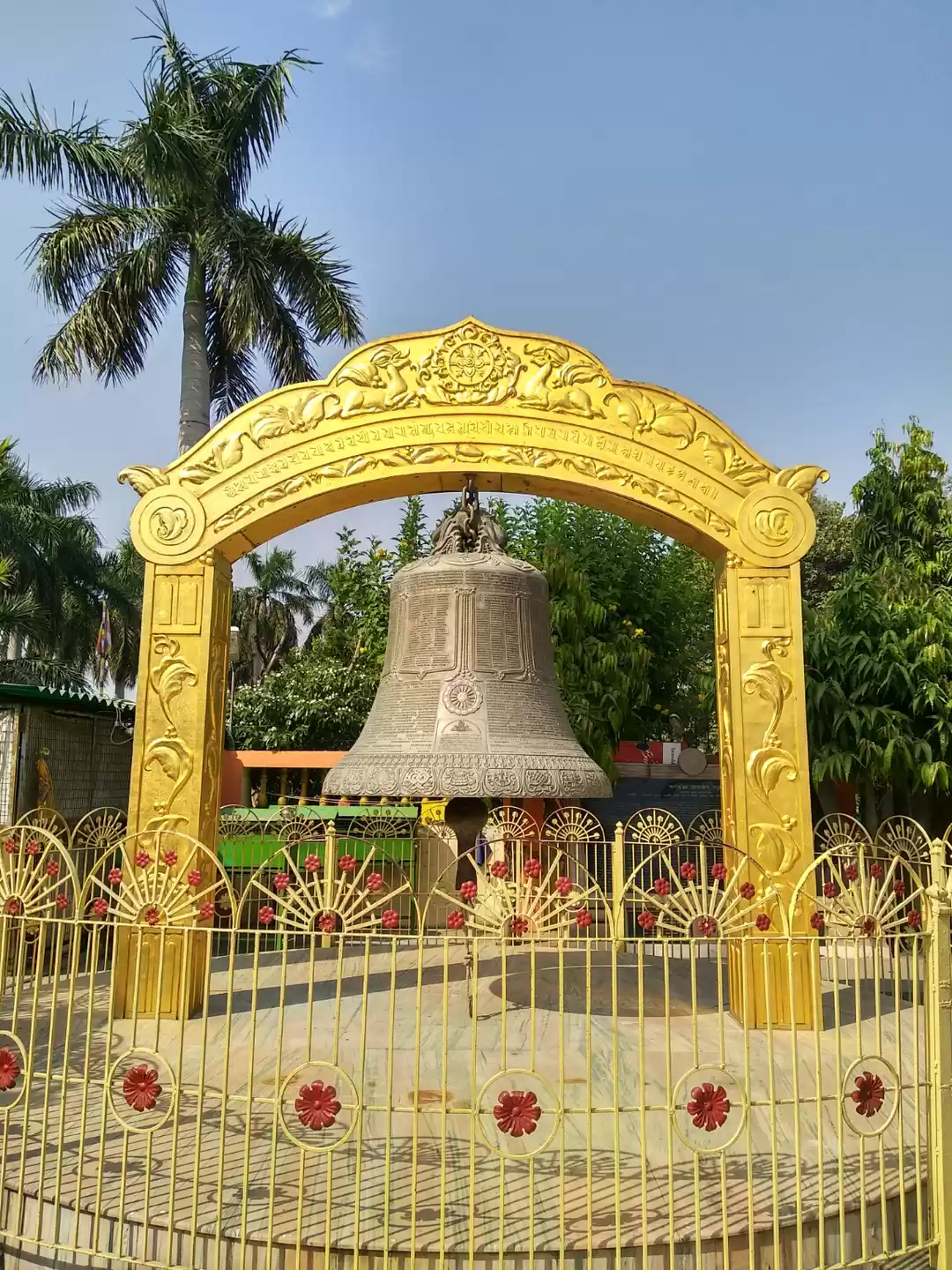 Photo of The Tree Planted Fro