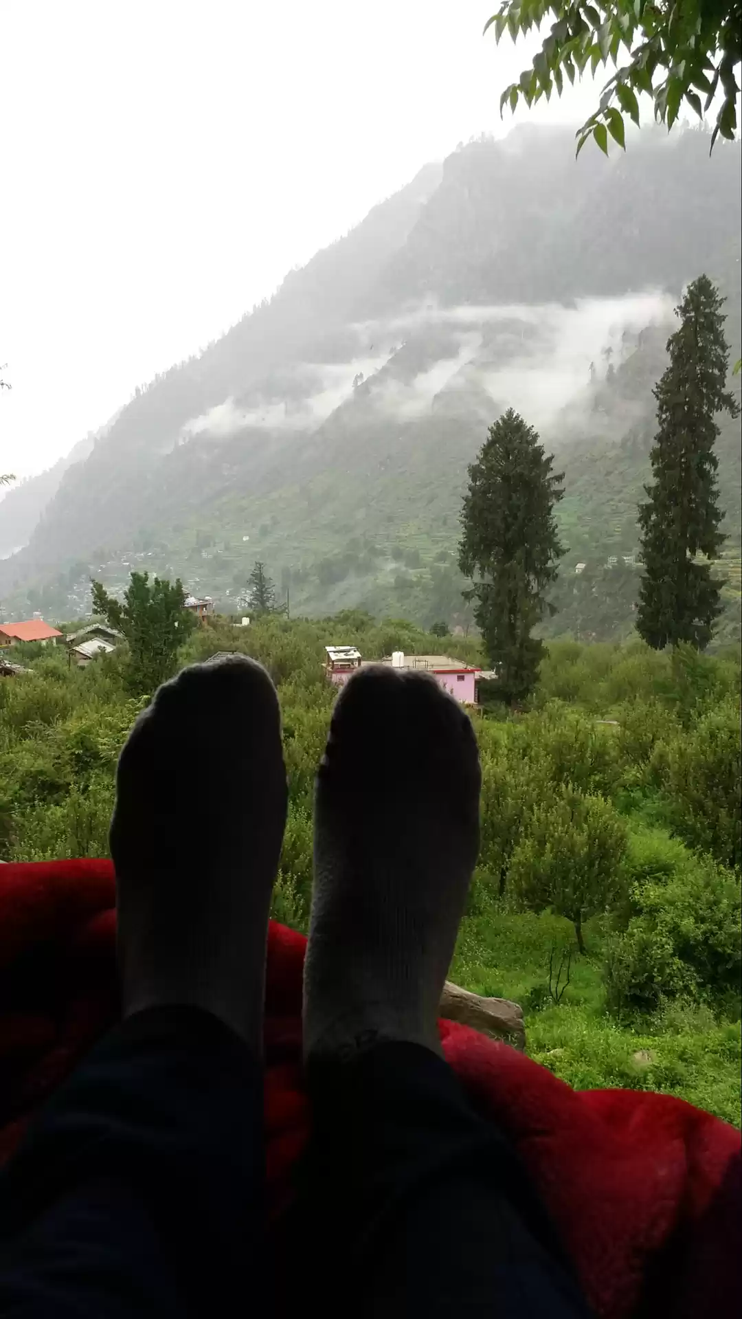 Photo of A Stay at Wooden Cot