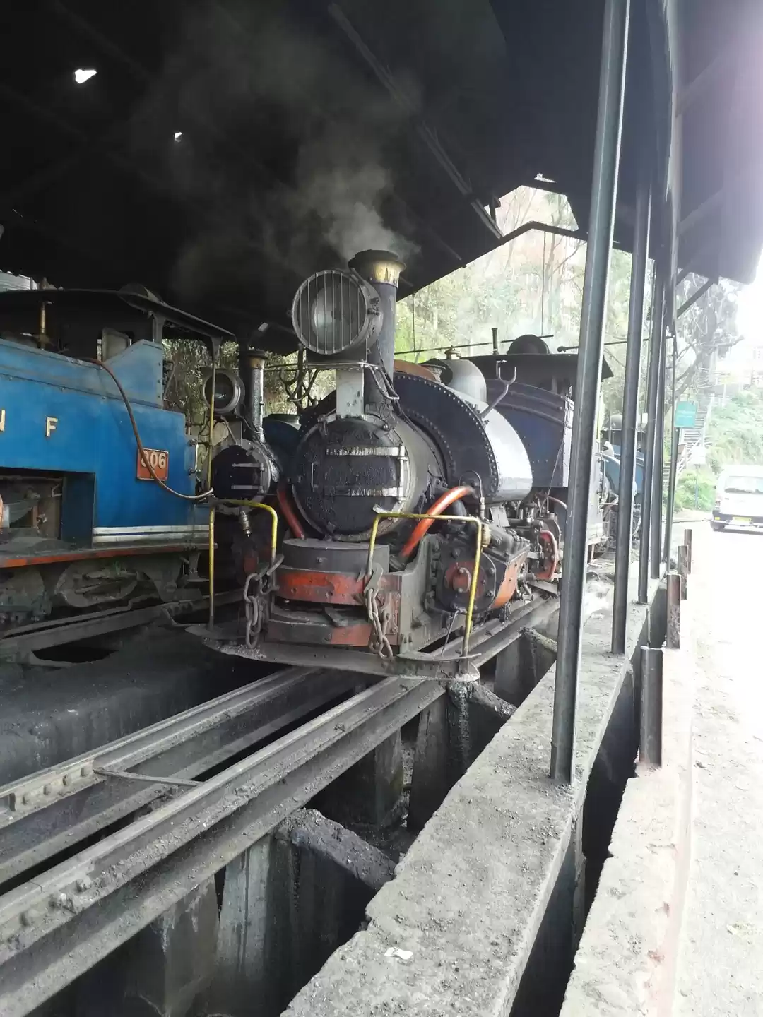 Photo of Darjeeling Himalayan