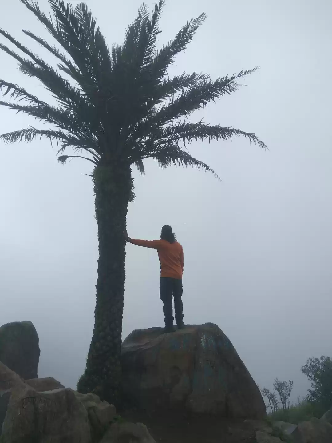 Photo of The Highest Peak of 