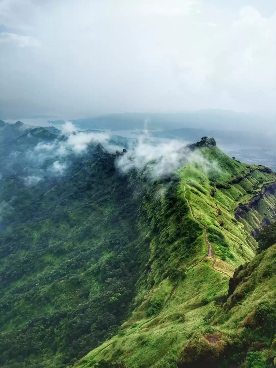 Photo of The King of Fort : R