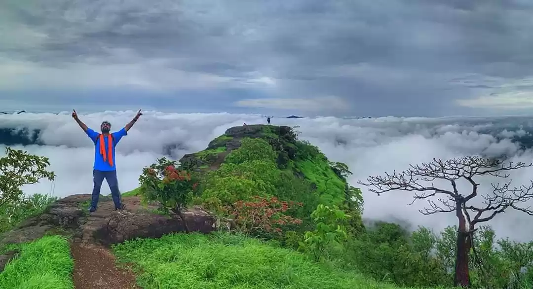 Photo of Trek in the clouds 