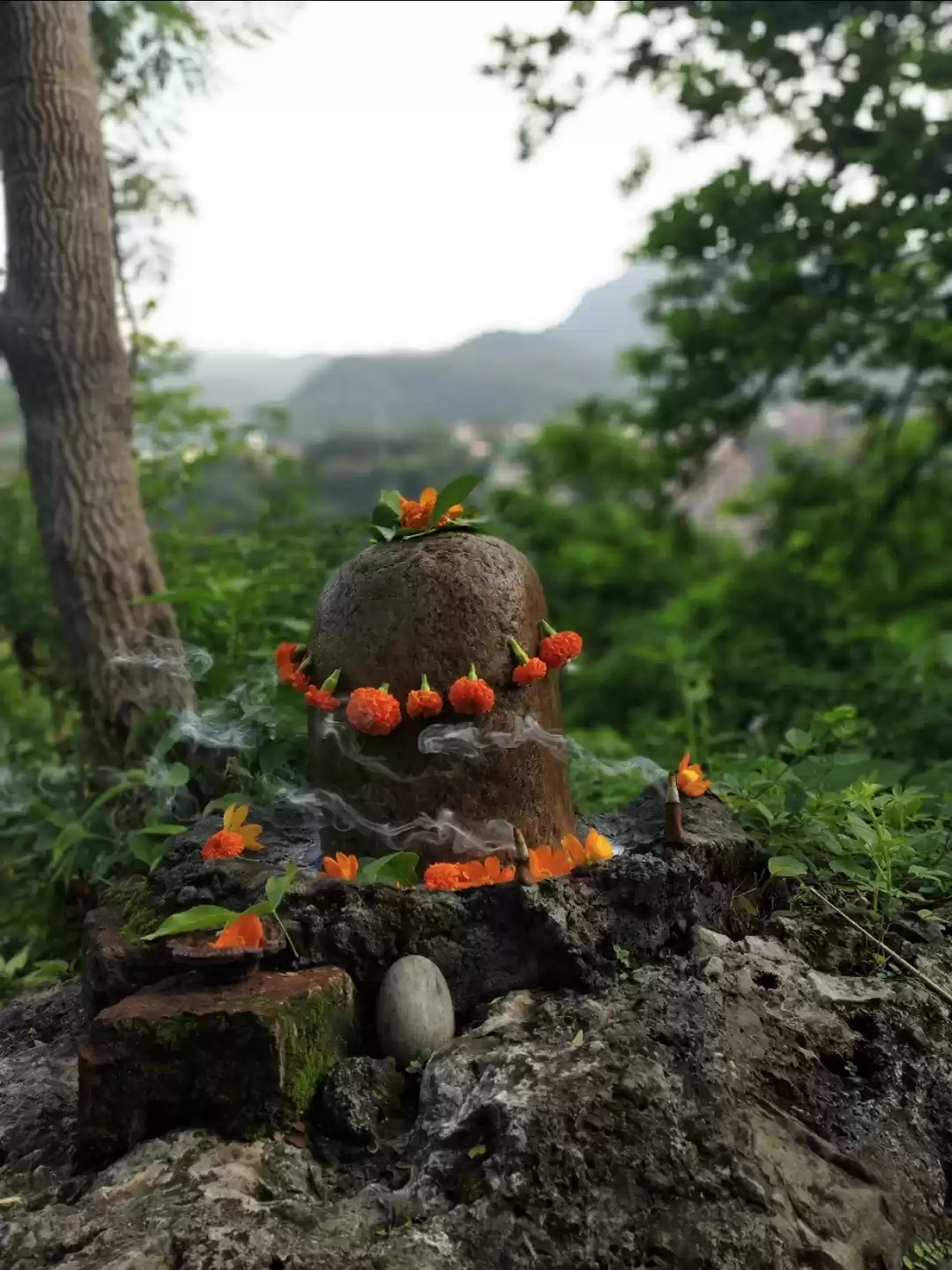 Photo of Waterfalls in Rishik