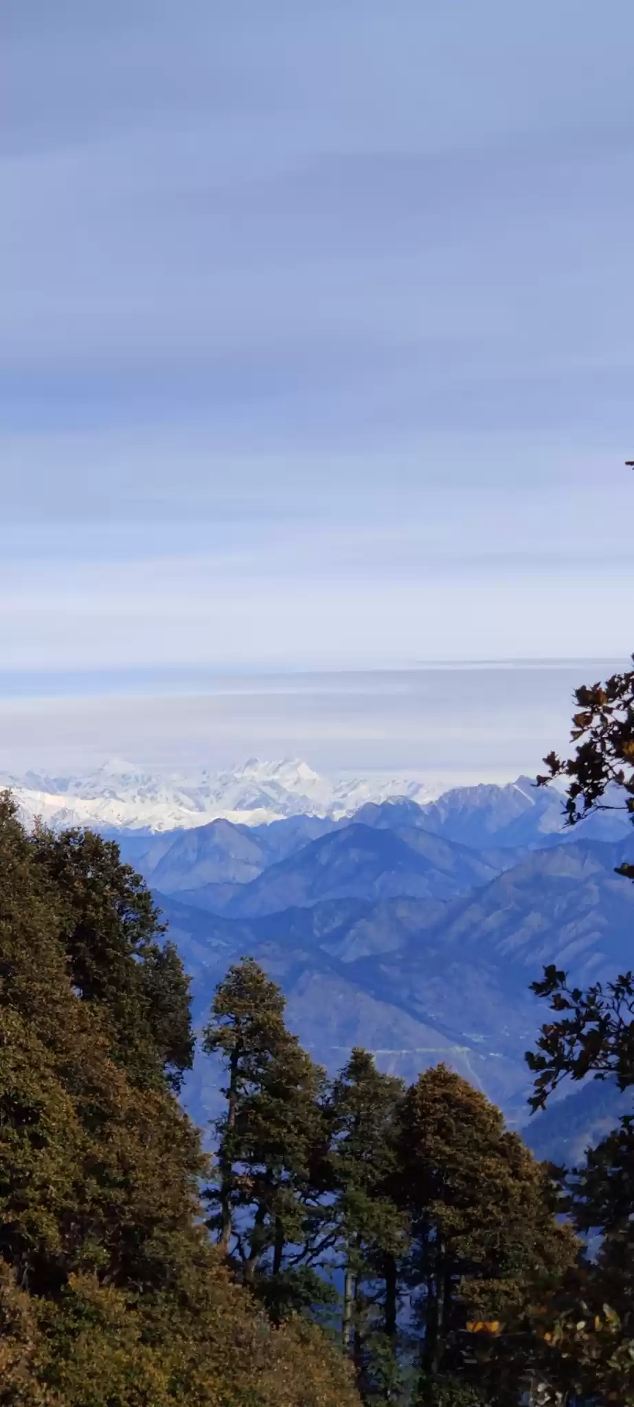 Photo of Jalori Pass,Jibhi, H