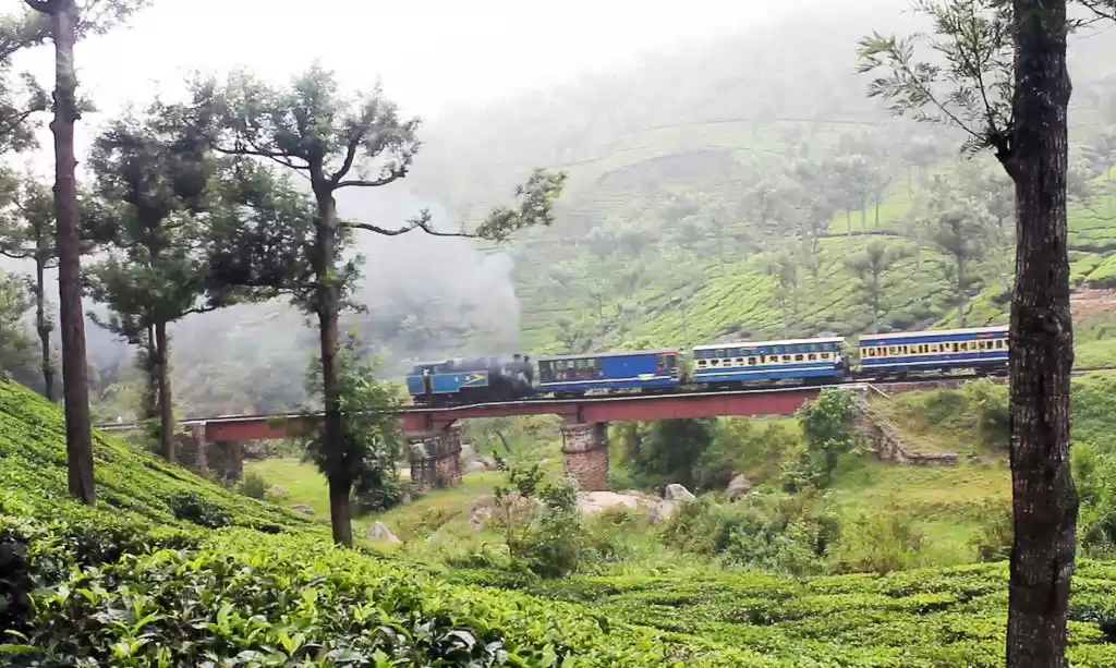 Photo of 24 Hours in Ooty