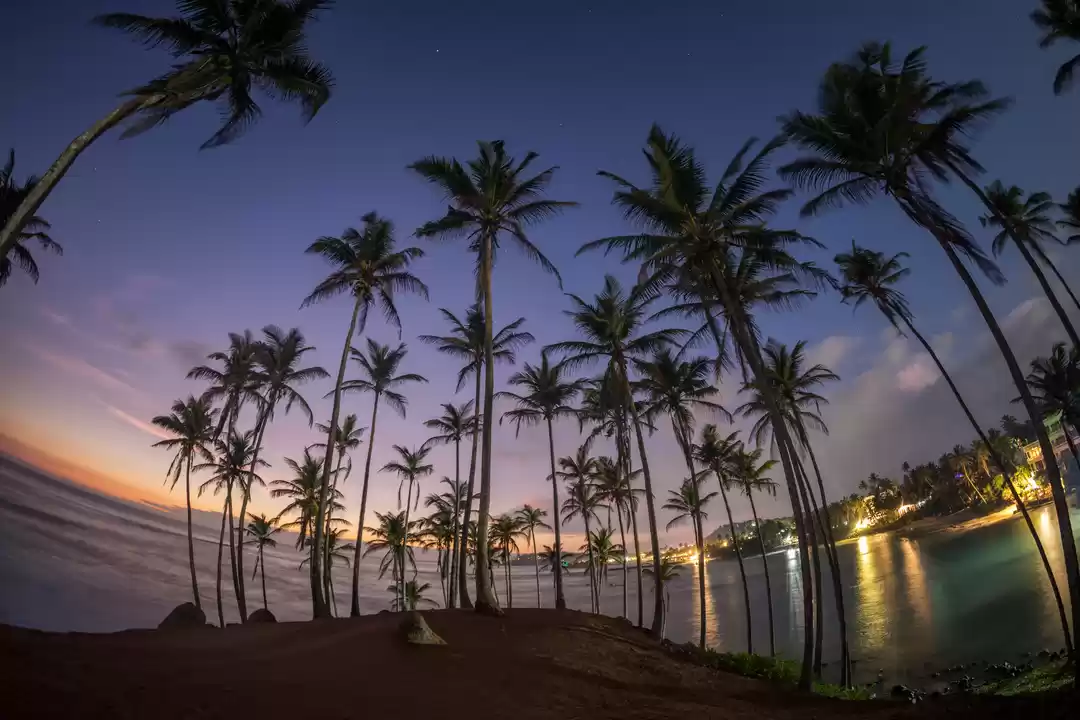 Photo of Srilanka - A Travel 