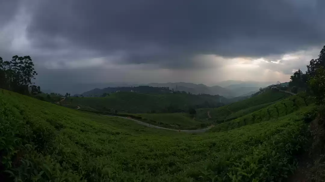 Photo of Munnar - 9 View Poin