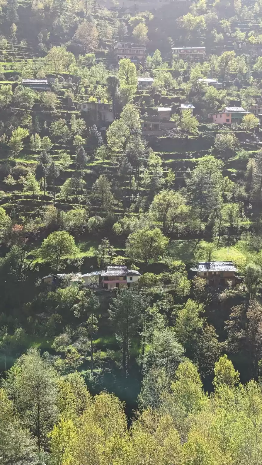 Photo of Tirthan - Visited Th