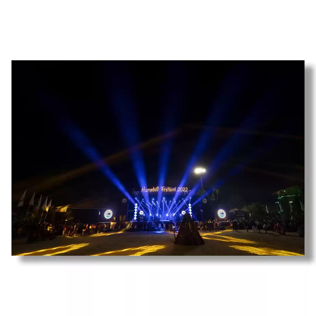 Photo of Colors of Hornbill '